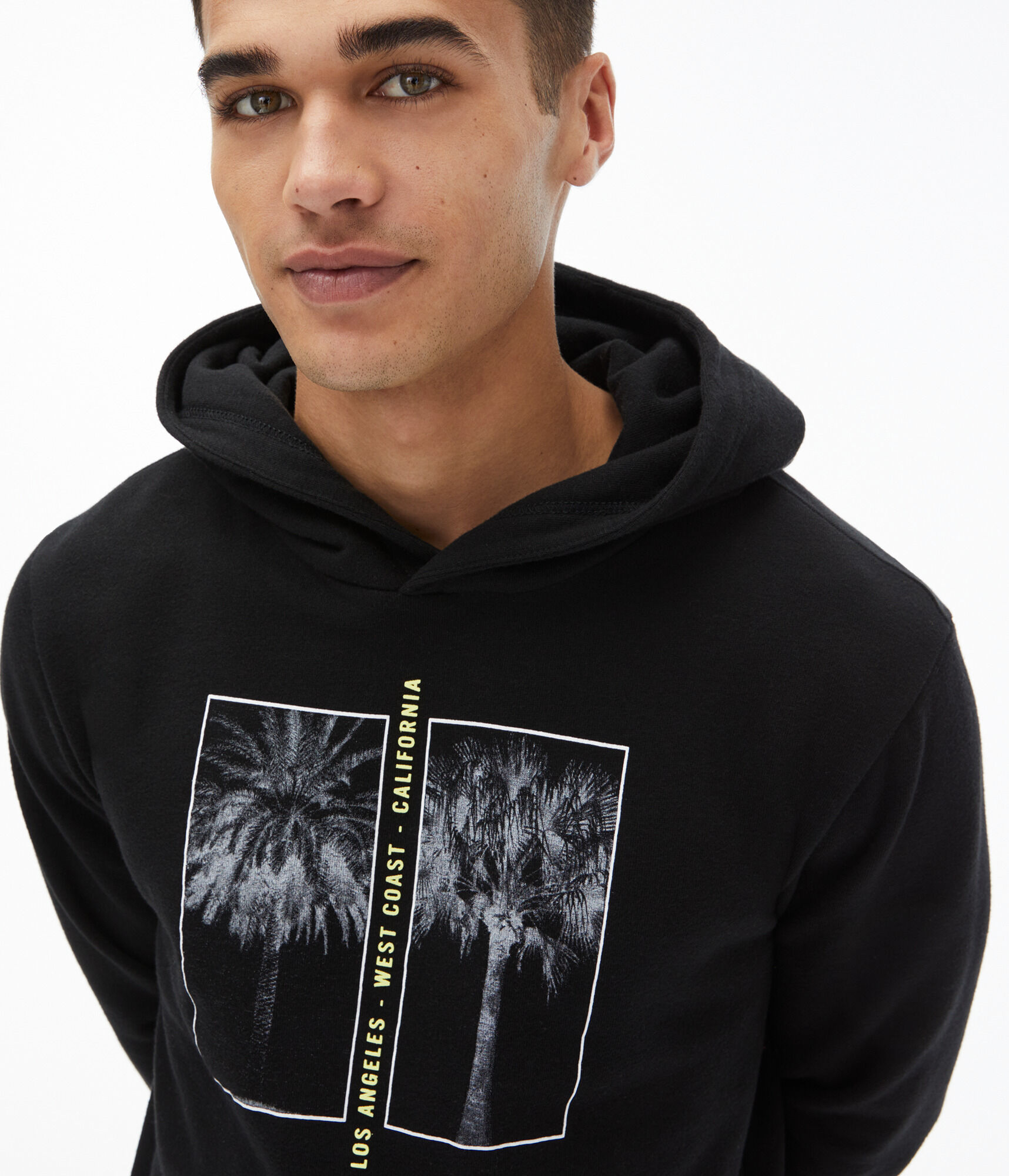 Los Angeles Palm Tree Pullover Hoodie