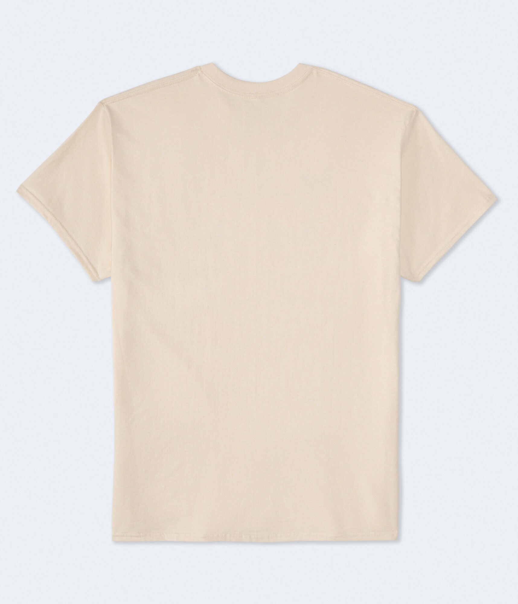 Tweety Bird Butterflies Oversized Graphic Tee