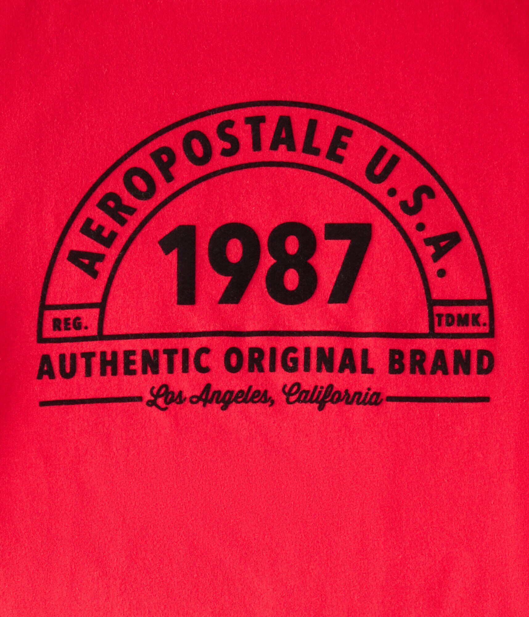 Aeropostale 1987 Arch Flocked Graphic Tee