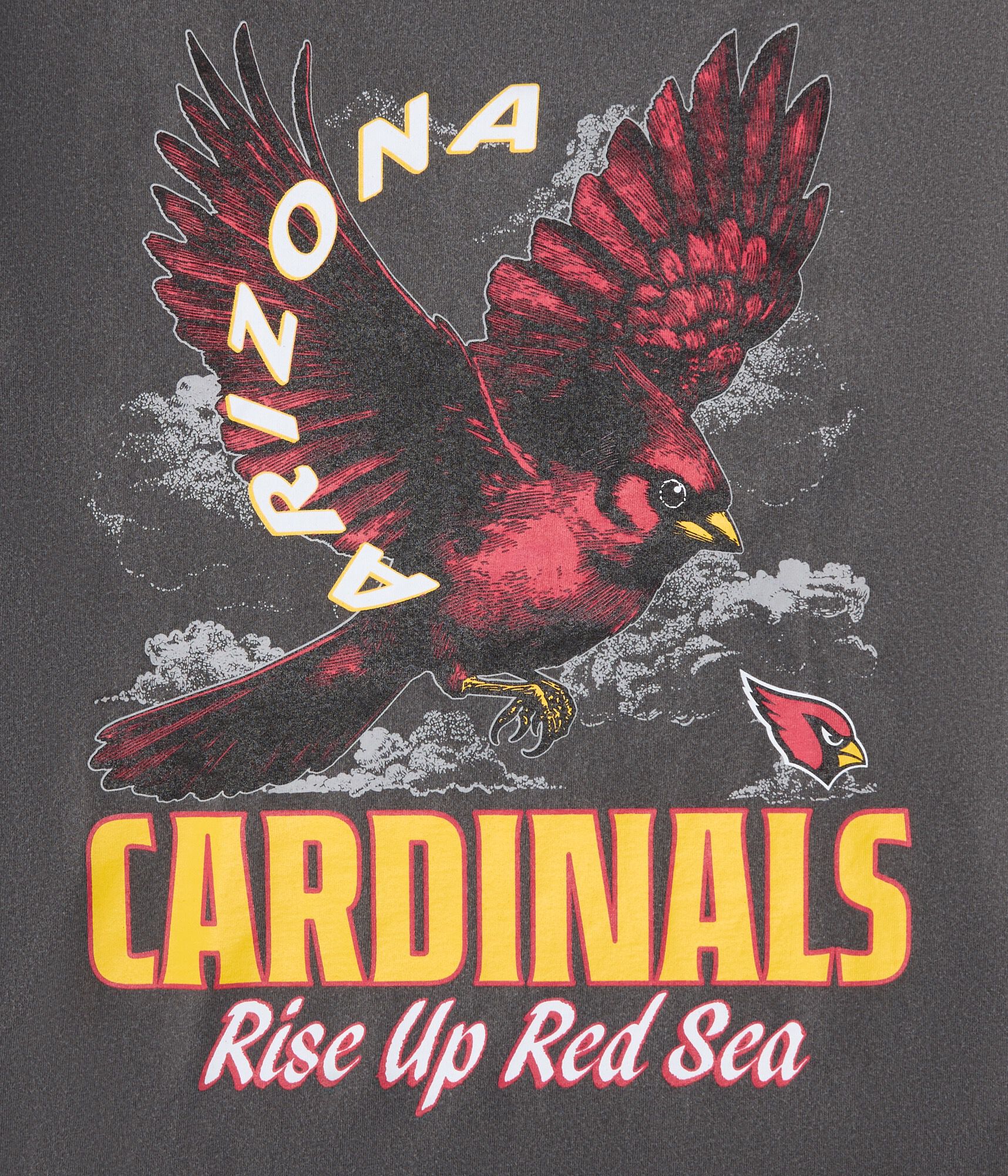 Arizona Cardinals Mascot Relaxed Graphic Tee