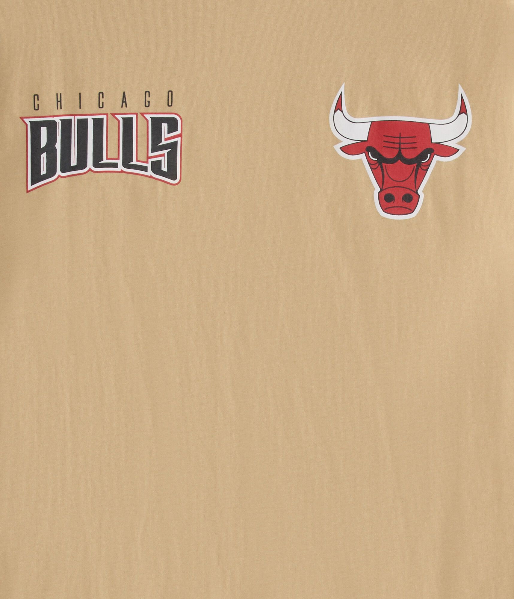 Chicago Bulls Basketball Relaxed Graphic Tee