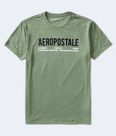 Aeropostale Authentic Logo Flocked Graphic Tee