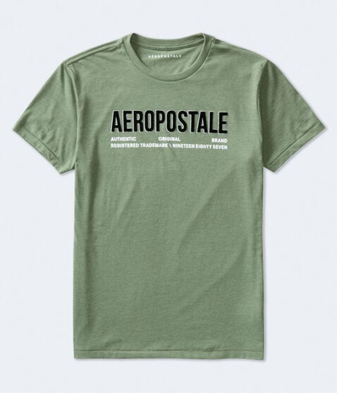 Aeropostale Authentic Logo Flocked Graphic Tee Aeropostale Authentic Logo Flocked Graphic Tee
