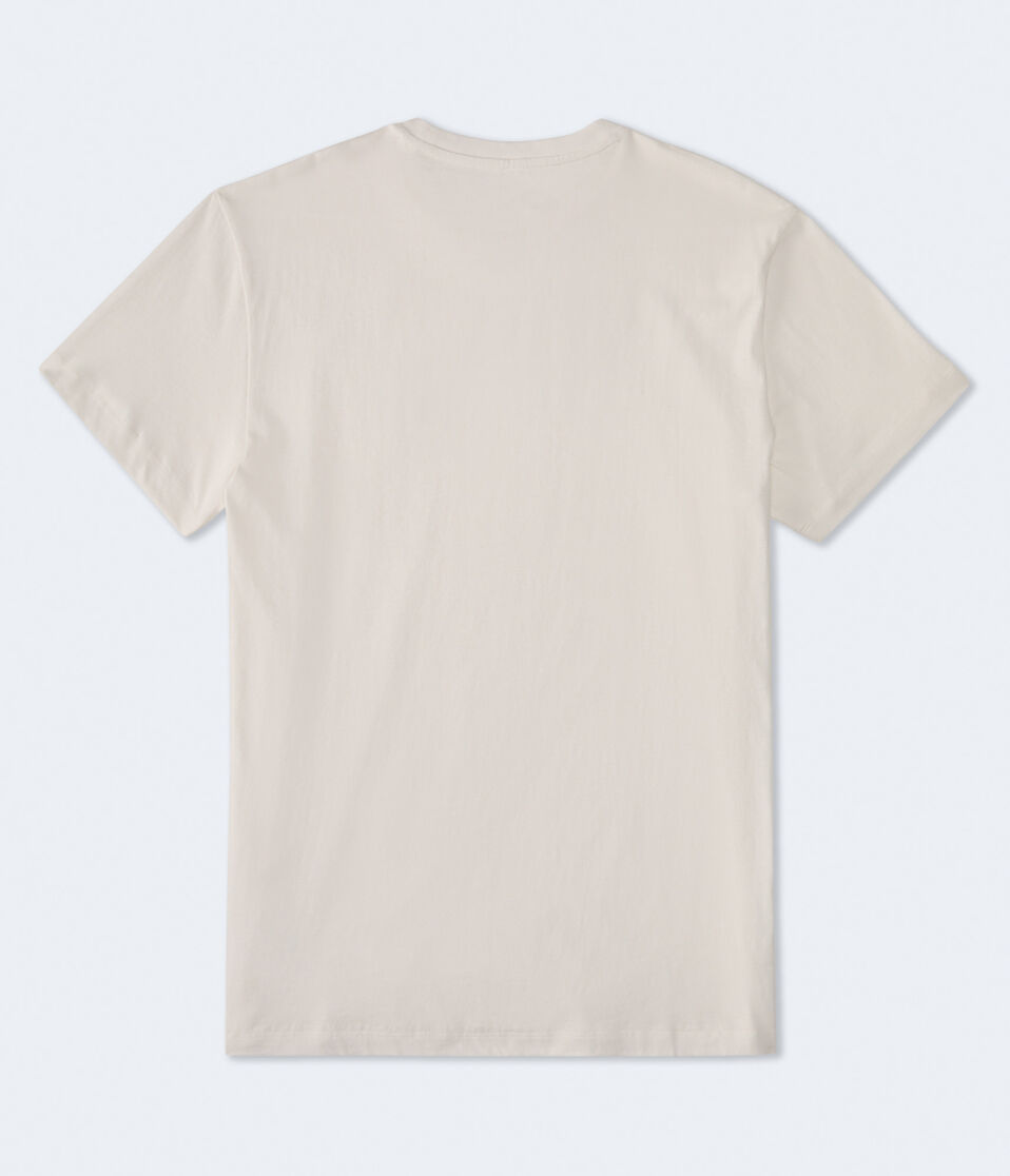 AeroNY Box Logo Appliqué Graphic Tee