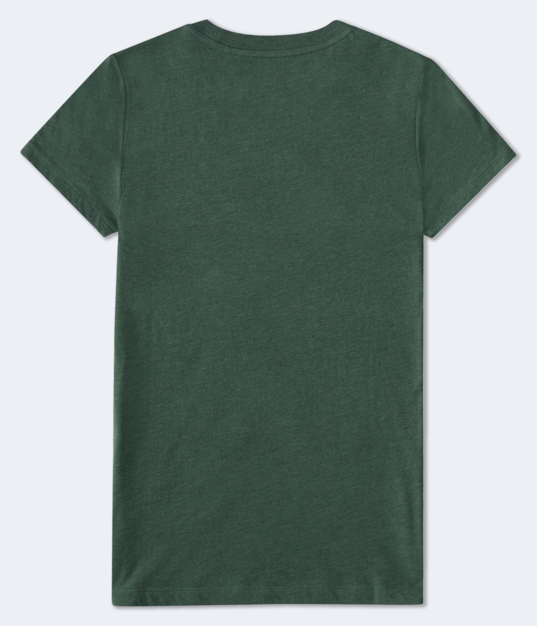 Aeropostale Wildflowers Appliqu&eacute; Graphic Tee