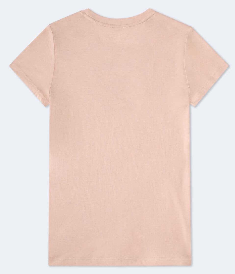 Aero New York Ribbon Flocked Graphic Tee