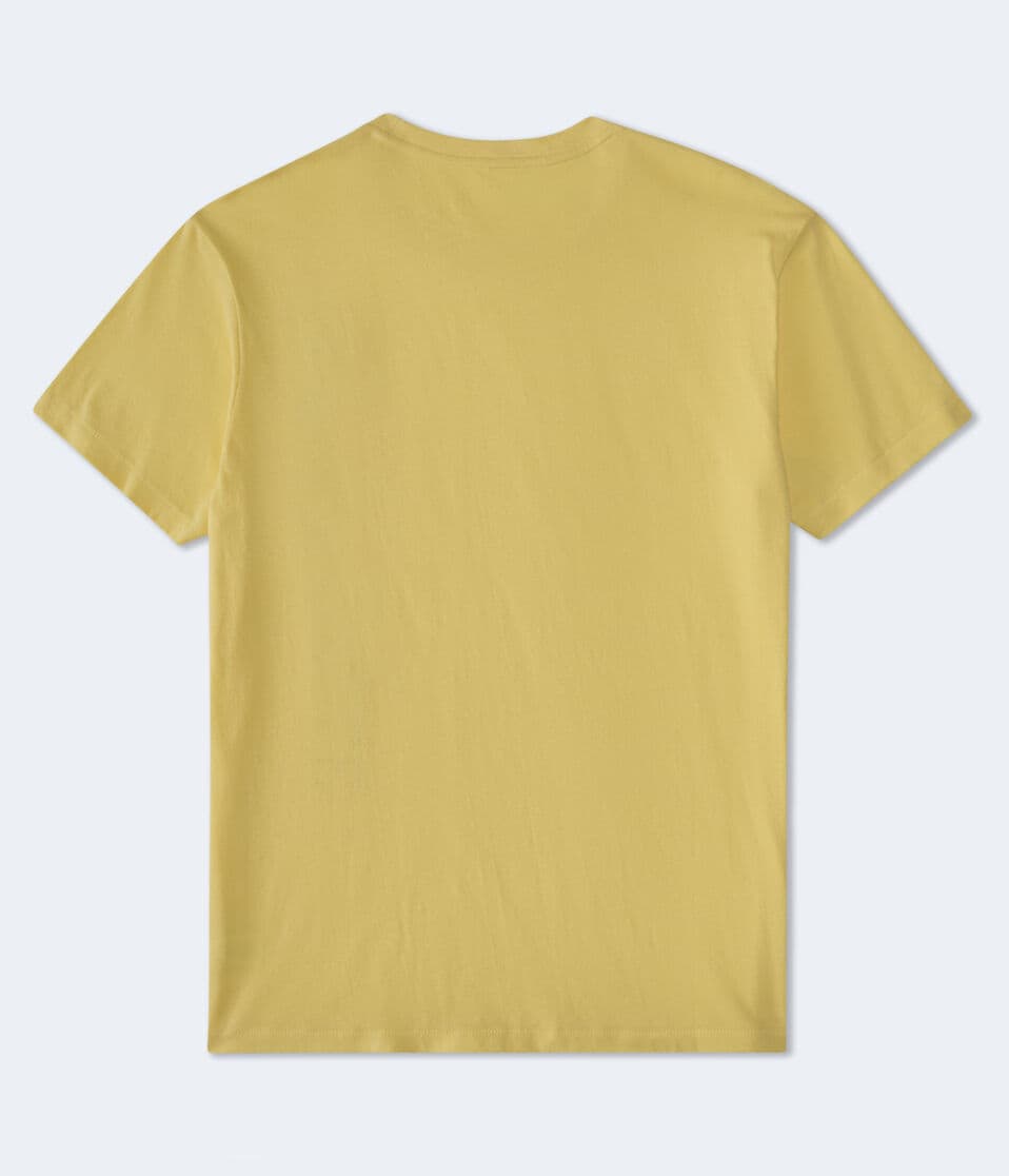 Aeropostale Vertical Appliqué Graphic Tee