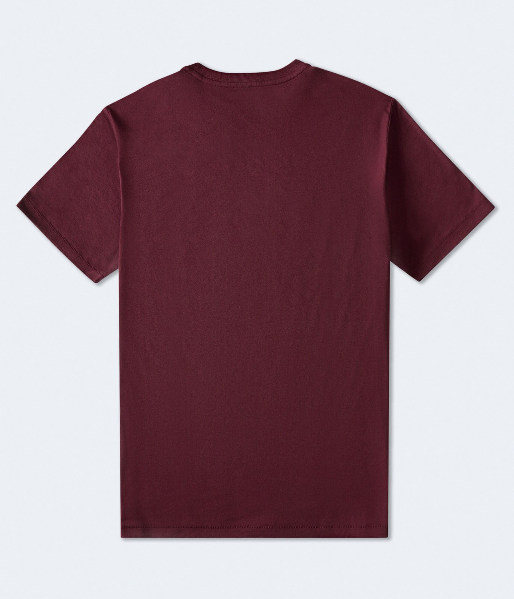 Aeropostale 1987 Arch Flocked Graphic Tee