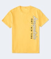 Aeropostale Script Appliqué Graphic Tee