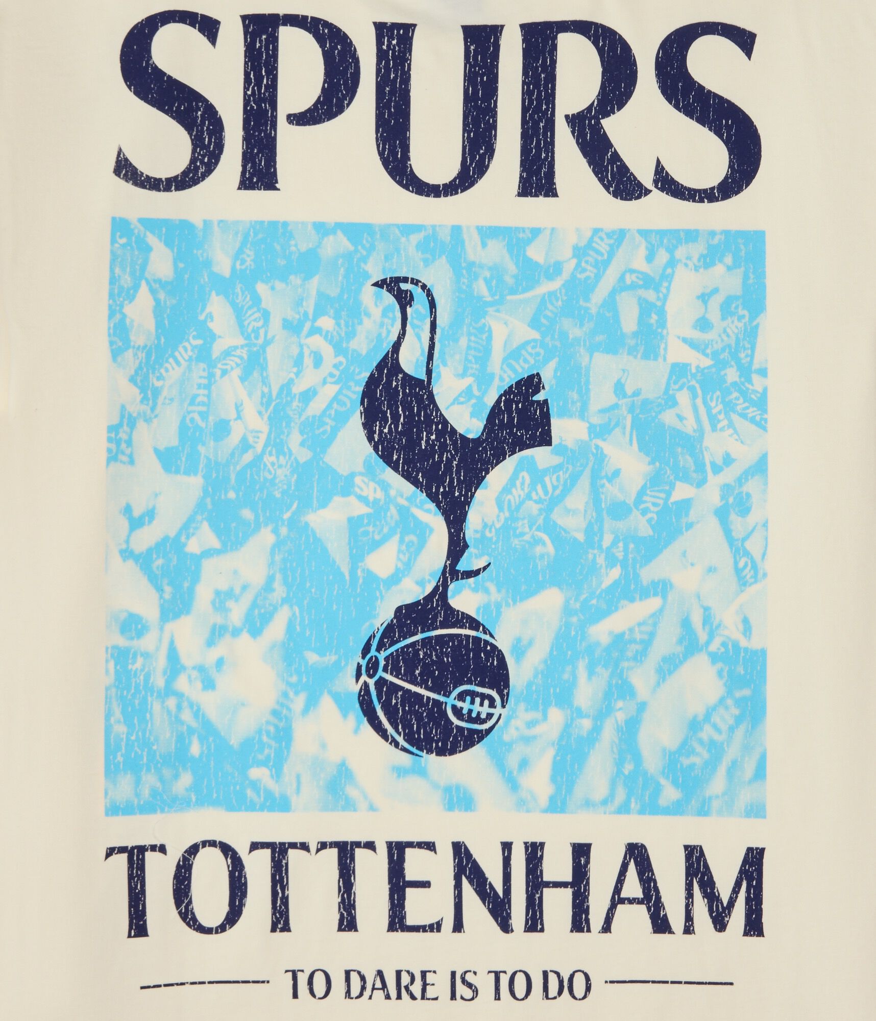 Tottenham Hotspur FC Relaxed Graphic Tee