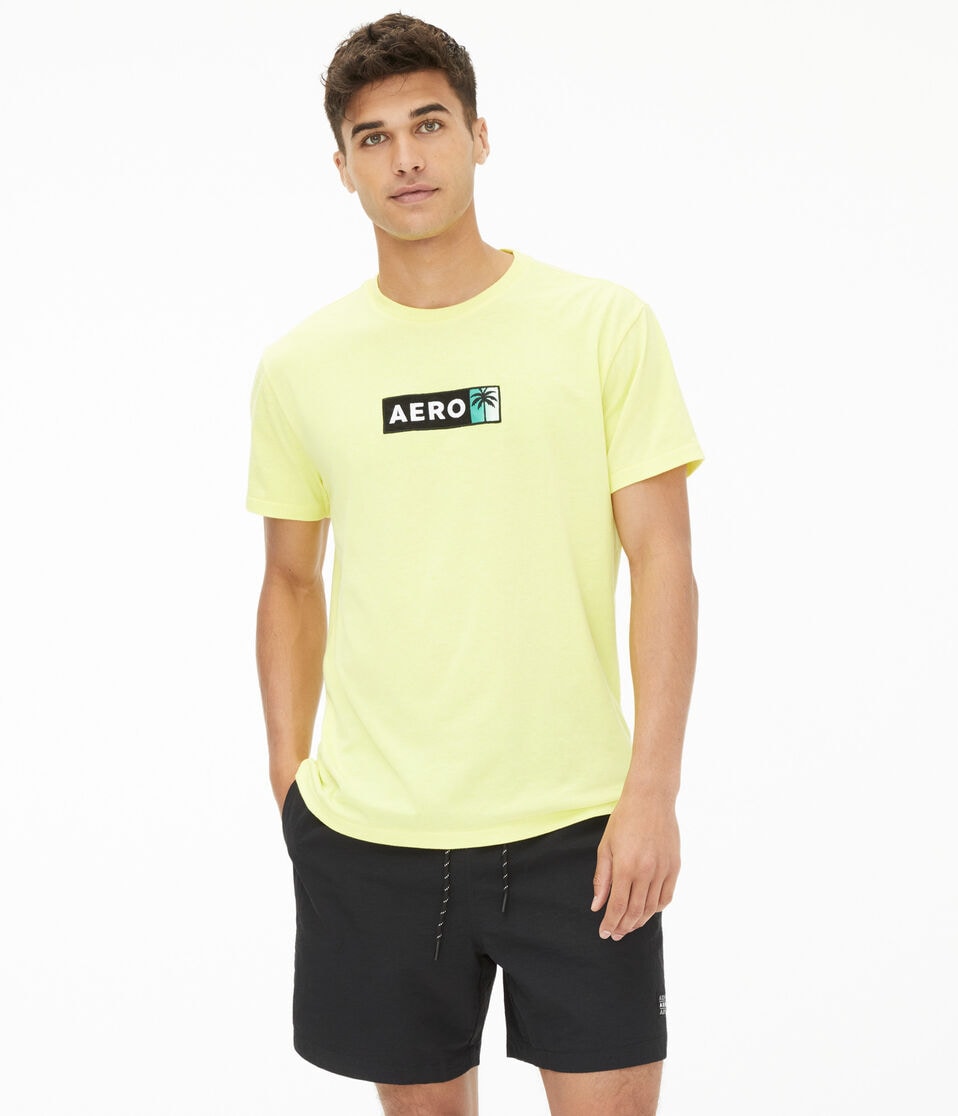 Aero Palm Tree Box Logo Appliqué Graphic Tee