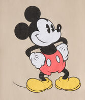 Mickey Mouse Relaxed Graphic Tee