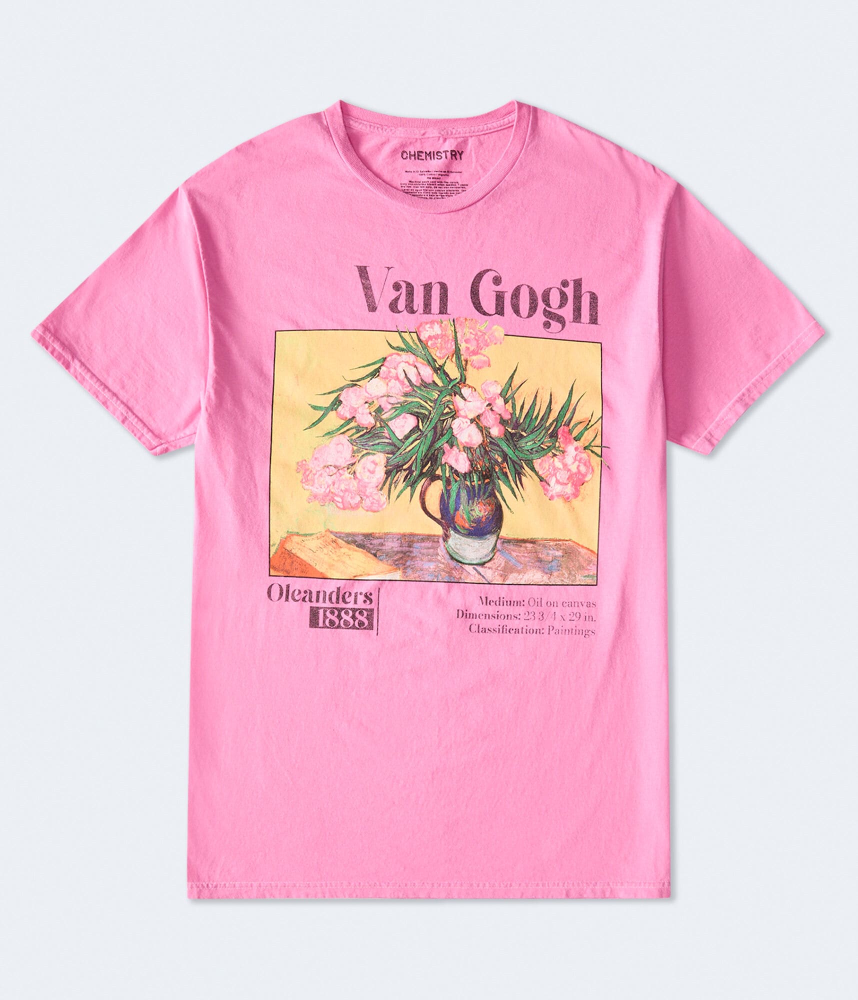 Van Gogh Oleanders Oversized Graphic Tee