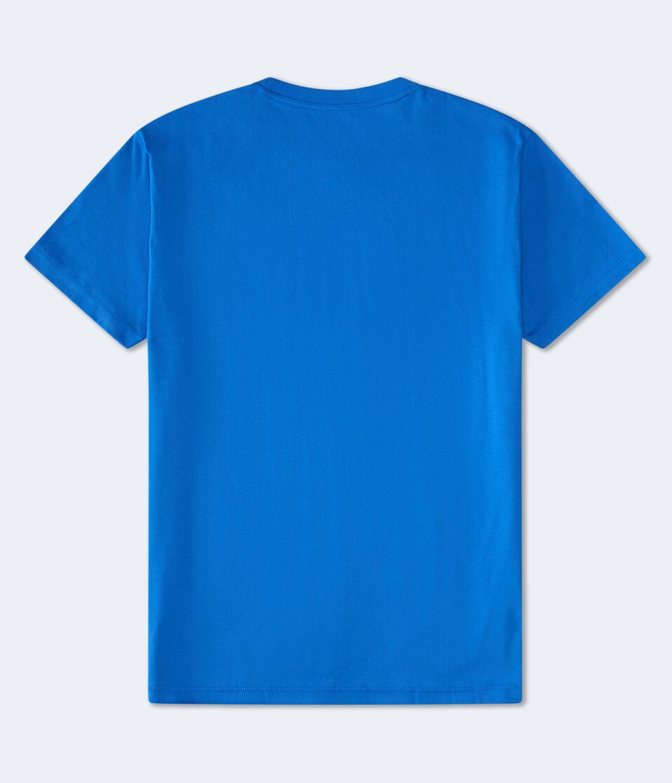 Aeropostale International Brand Graphic Tee