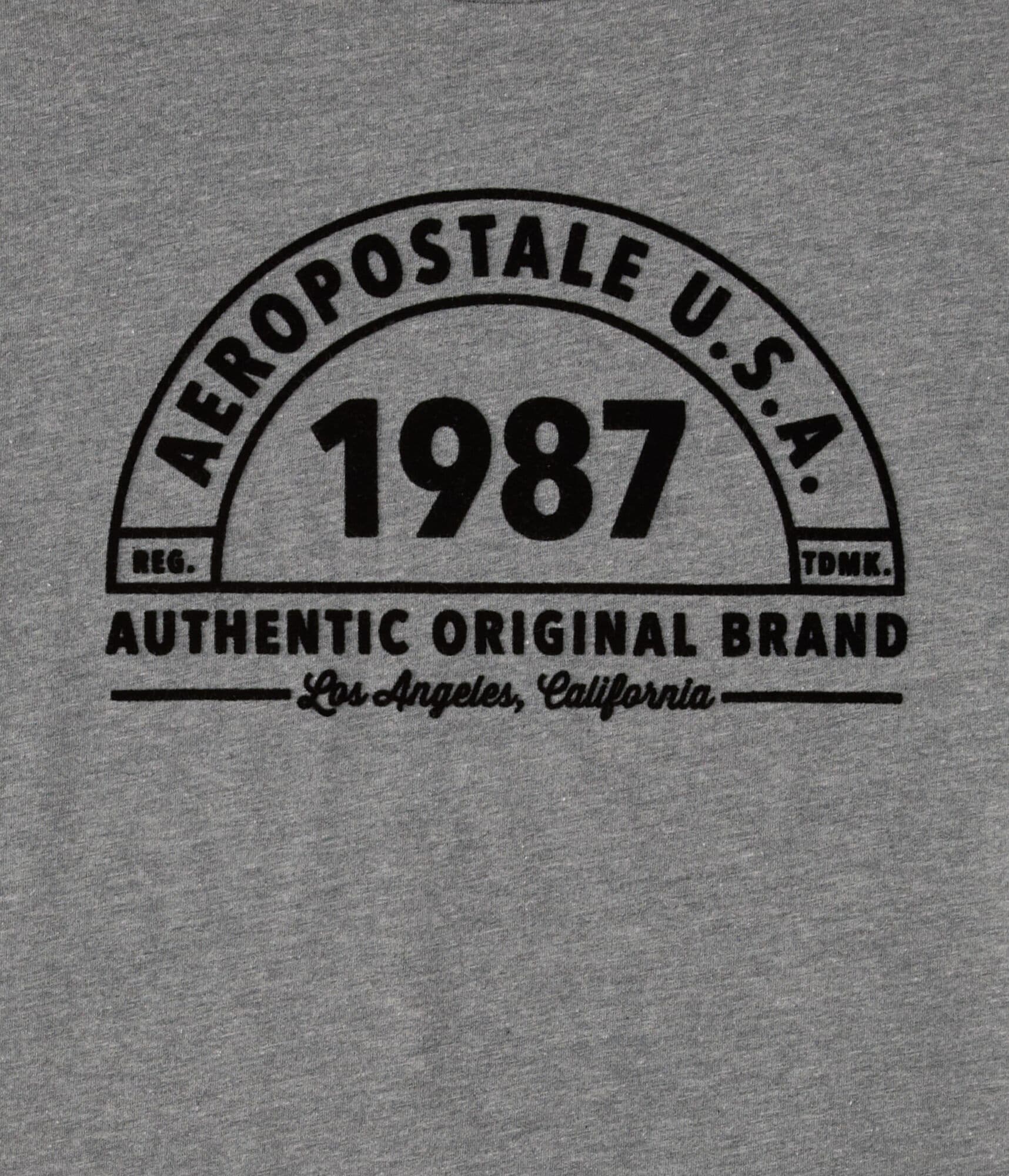 Aeropostale 1987 Arch Flocked Graphic Tee