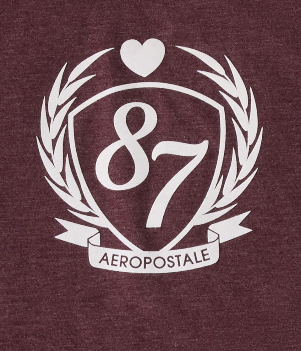 Aeropostale 87 Crest Flocked Graphic Tee
