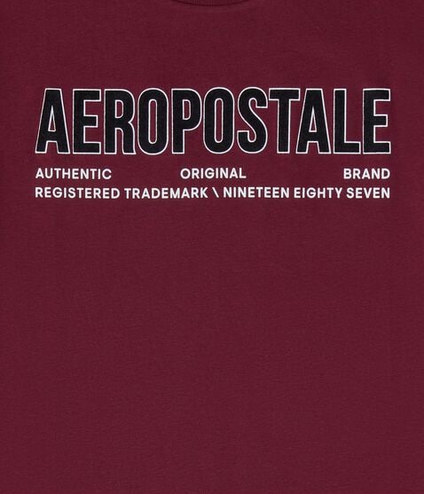 Aeropostale Authentic Logo Flocked Graphic Tee Aeropostale Authentic Logo Flocked Graphic Tee
