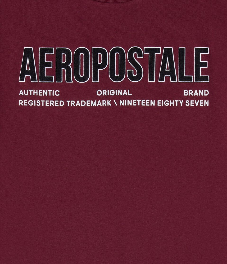 Aeropostale Authentic Logo Flocked Graphic Tee