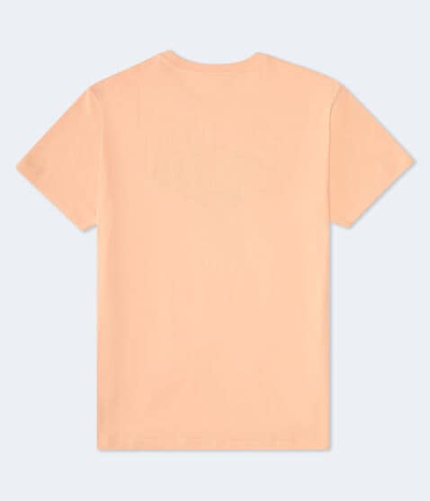 Aero 1987 Diamond Appliqué Graphic Tee Aero 1987 Diamond Appliqué Graphic Tee