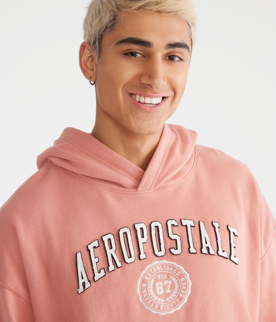 Aeropostale Crest Logo Pullover Hoodie
