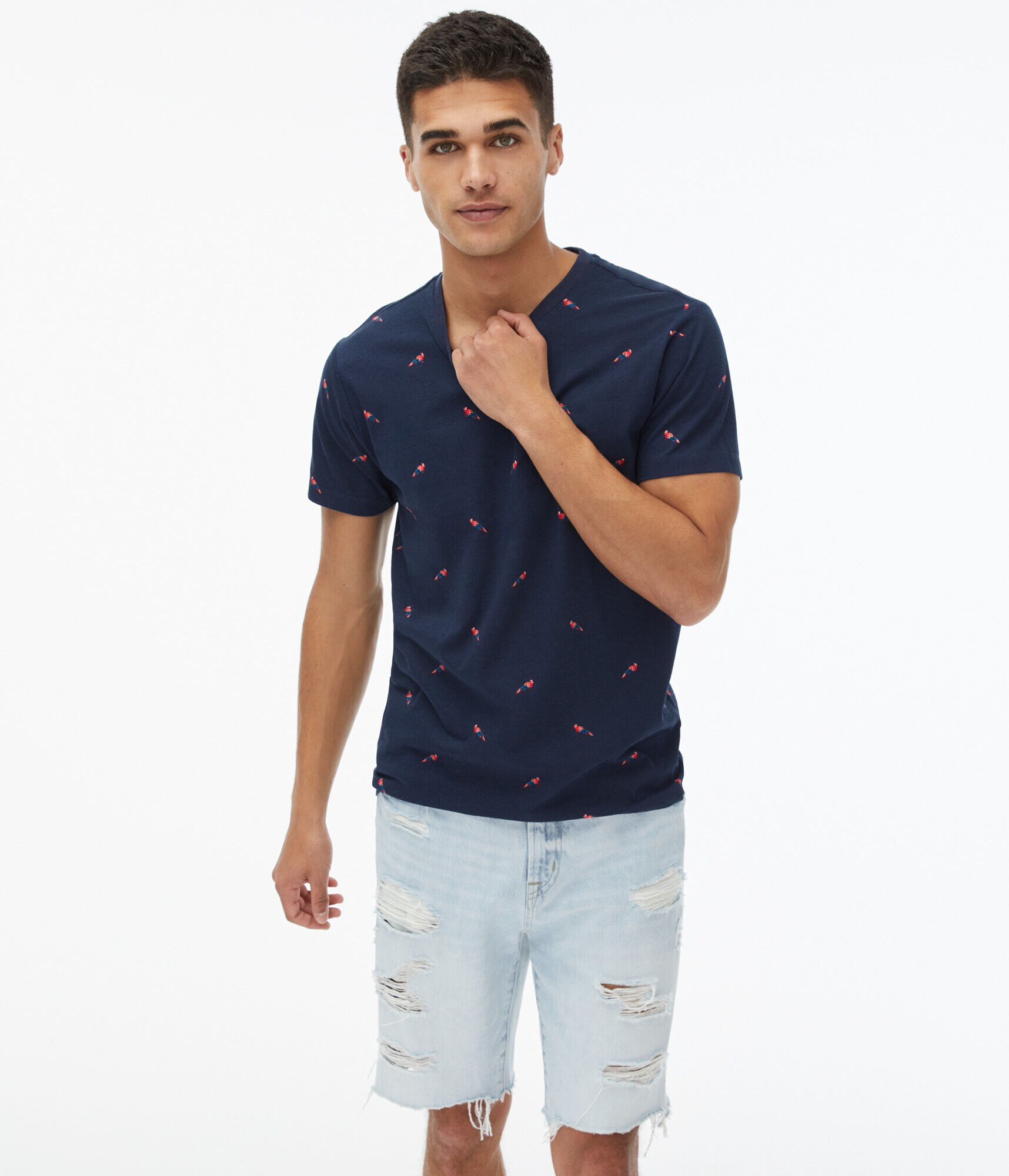 Parrot Print Graphic Tee