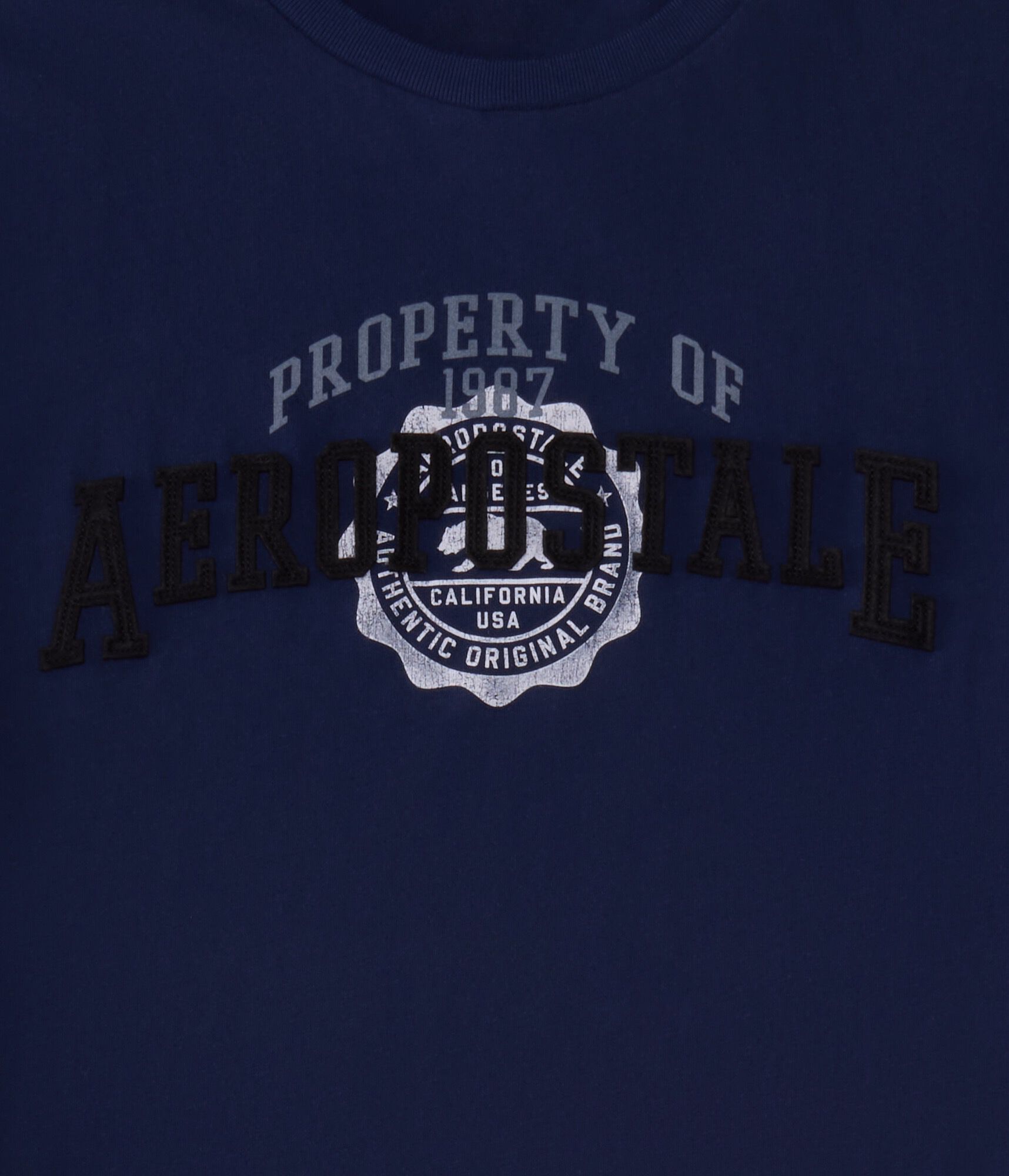 Property Of Aeropostale Appliqu&eacute; Graphic Tee