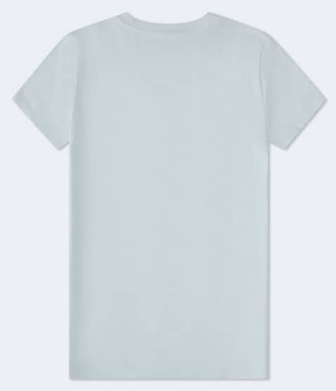 Aero Teddy Bear Flocked Graphic Tee Aero Teddy Bear Flocked Graphic Tee