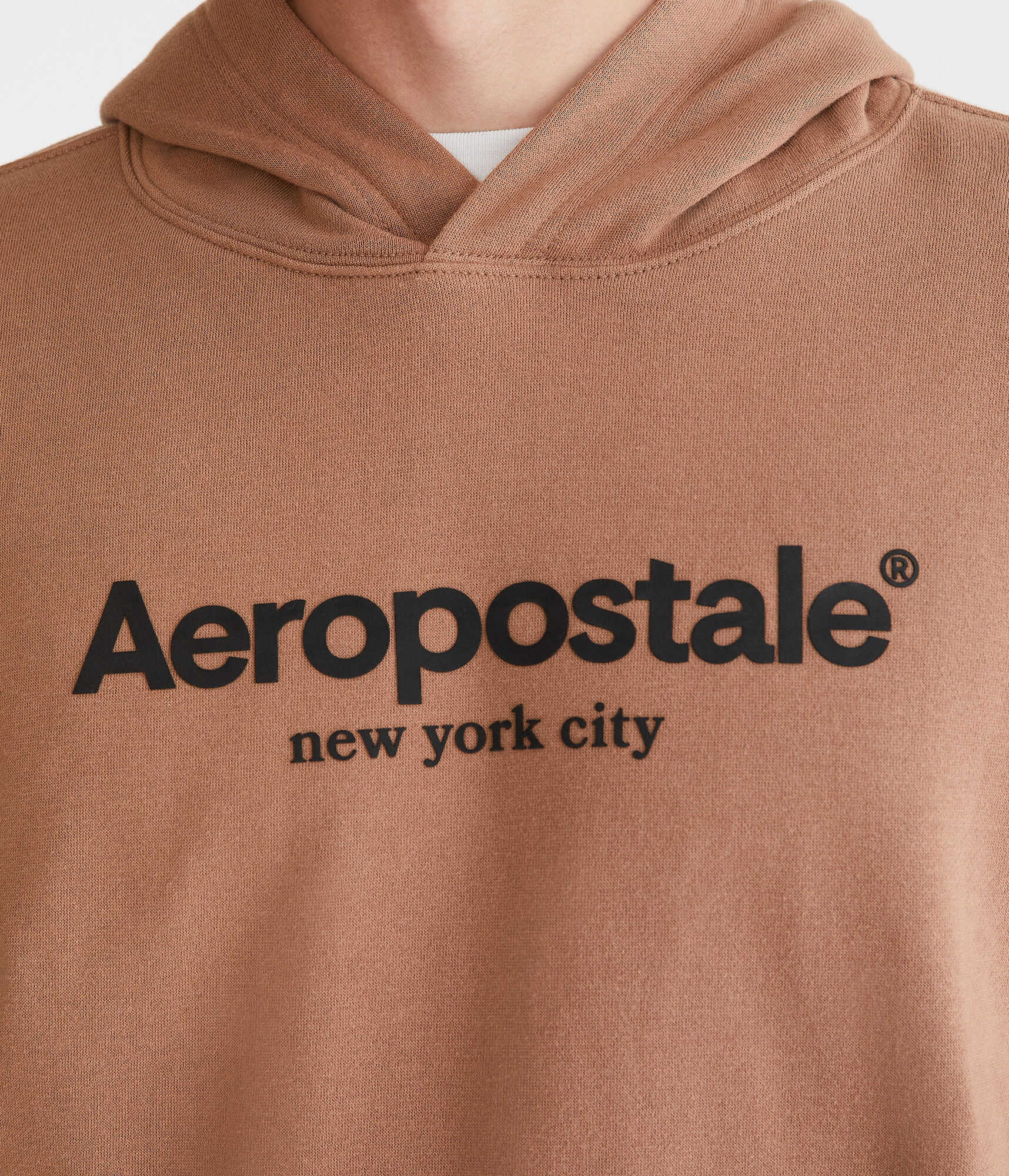 Aeropostale Logo Heritage Pullover Hoodie