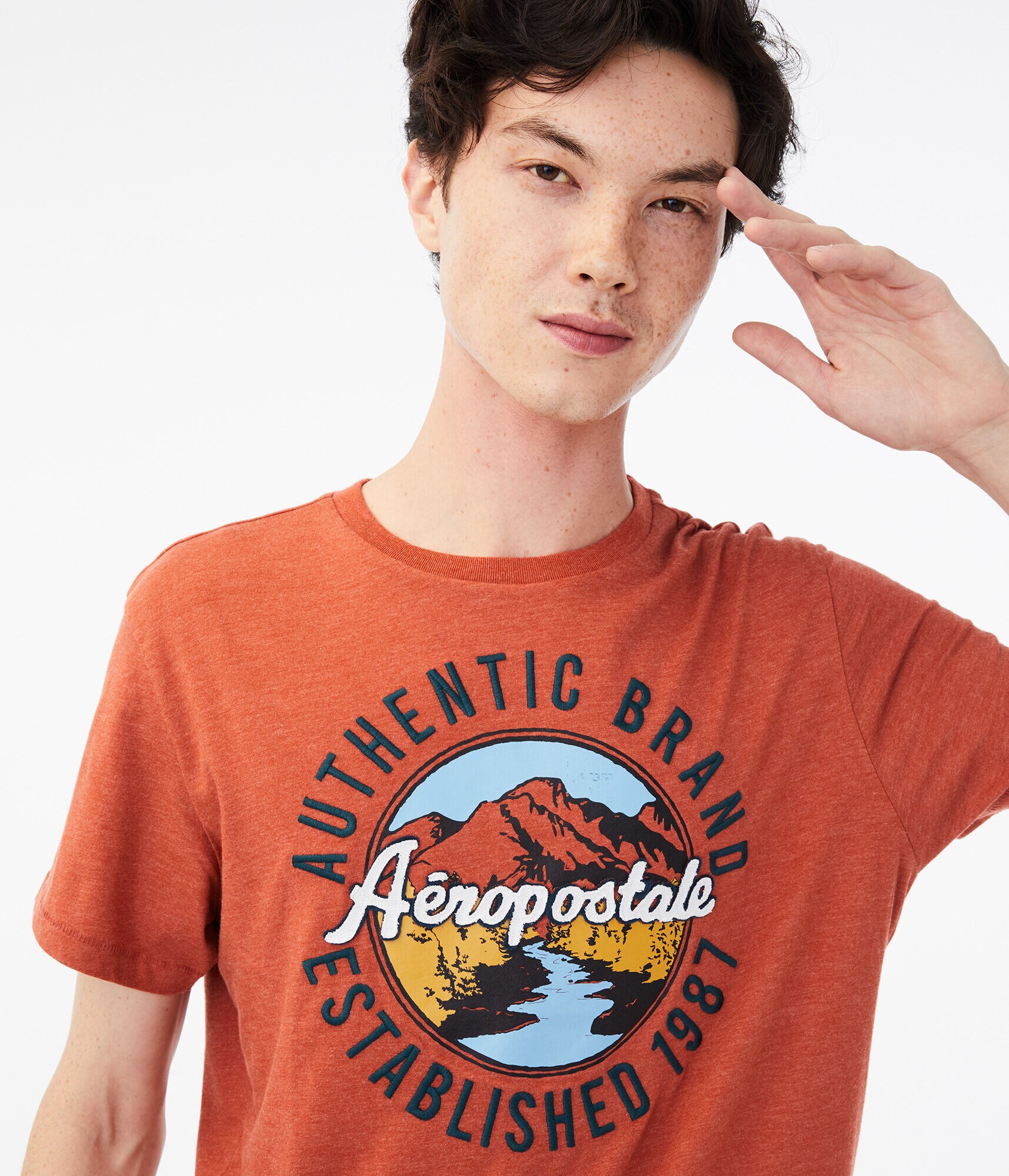 Aeropostale Mountain Scene Graphic Tee