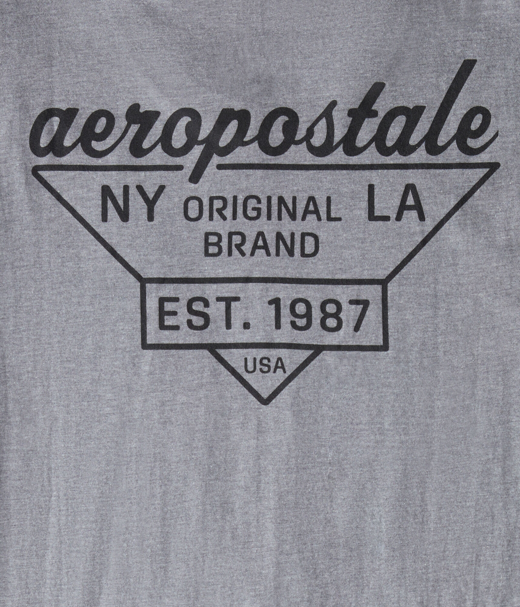 Aeropostale Triangle Logo Graphic Tee