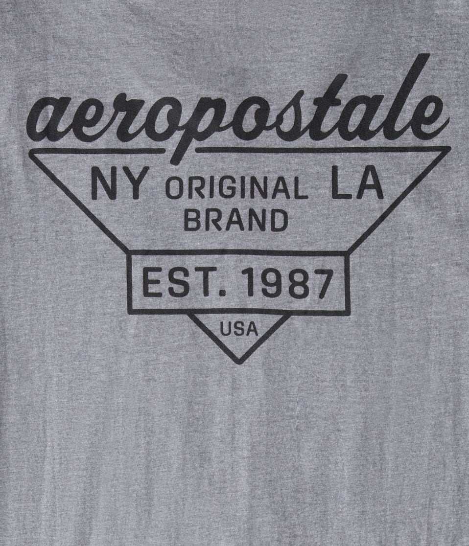 Aeropostale Triangle Logo Graphic Tee