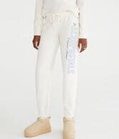 Aeropostale Original Brand Jogger Sweatpants