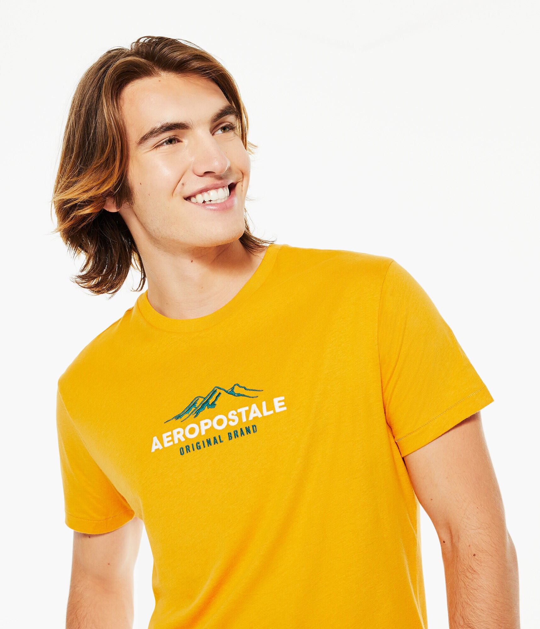 Aeropostale Mountains Logo Graphic Tee
