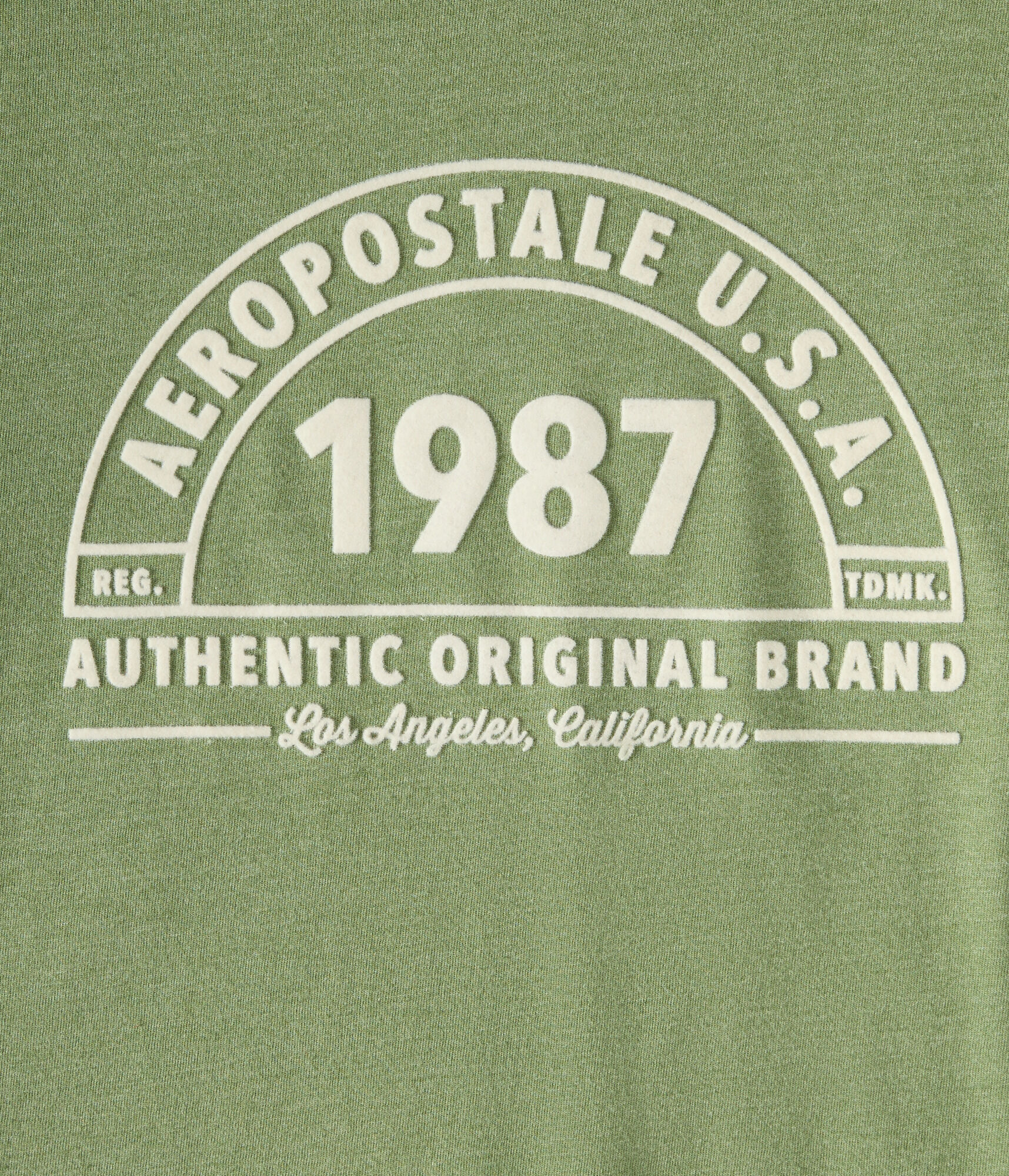 Aeropostale 1987 Arch Flocked Graphic Tee