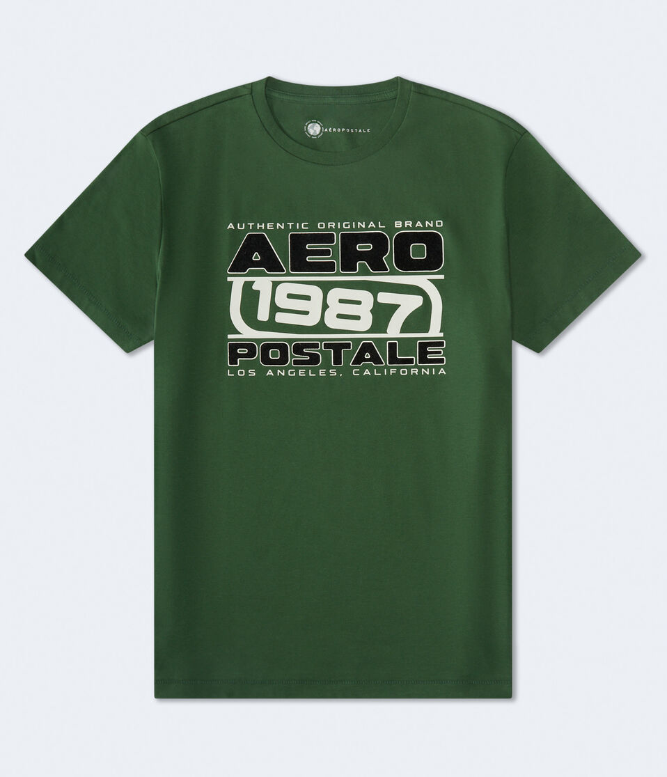 Aero 1987 Box Logo Flocked Graphic Tee