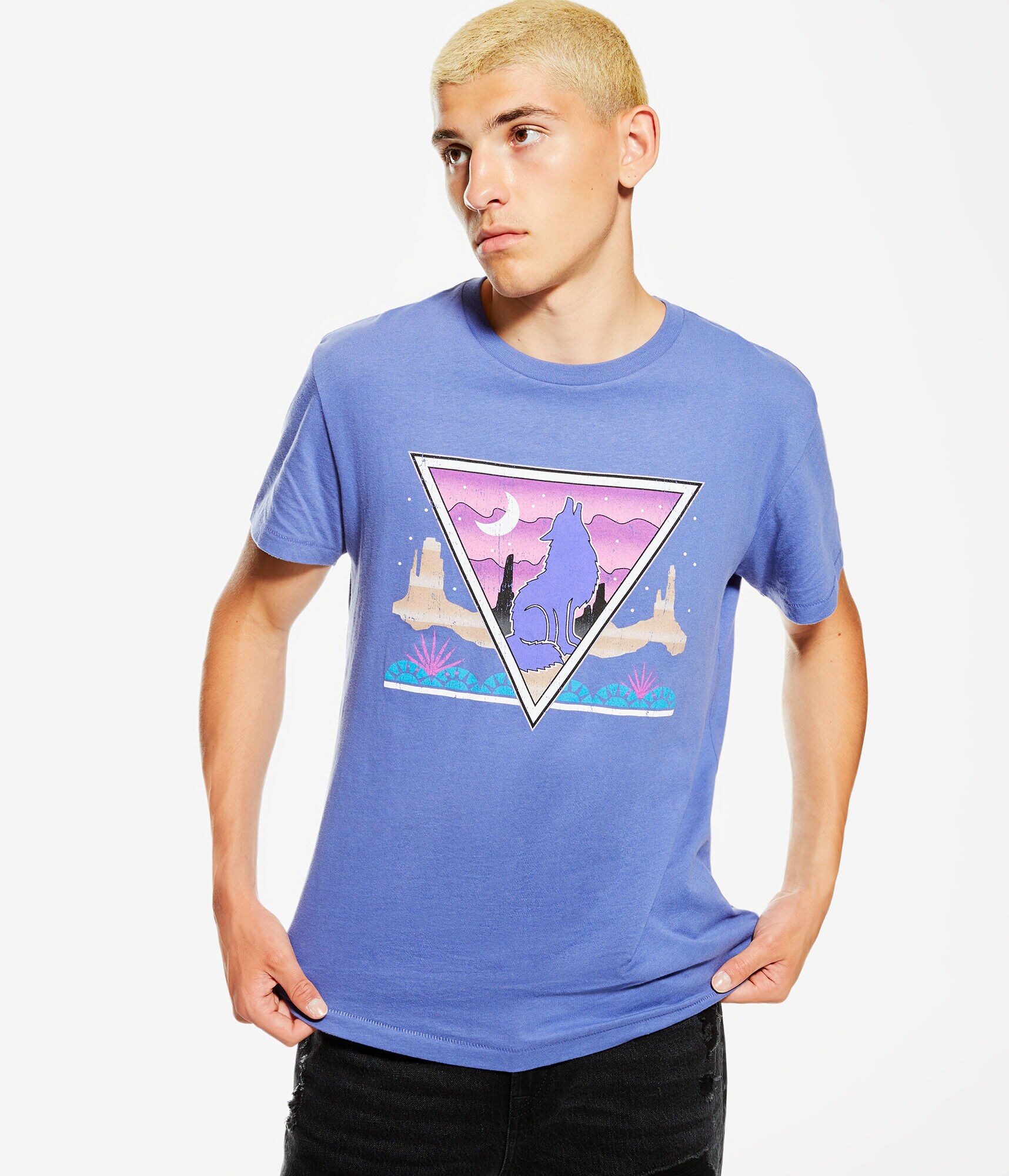 Wolf Desert Graphic Tee