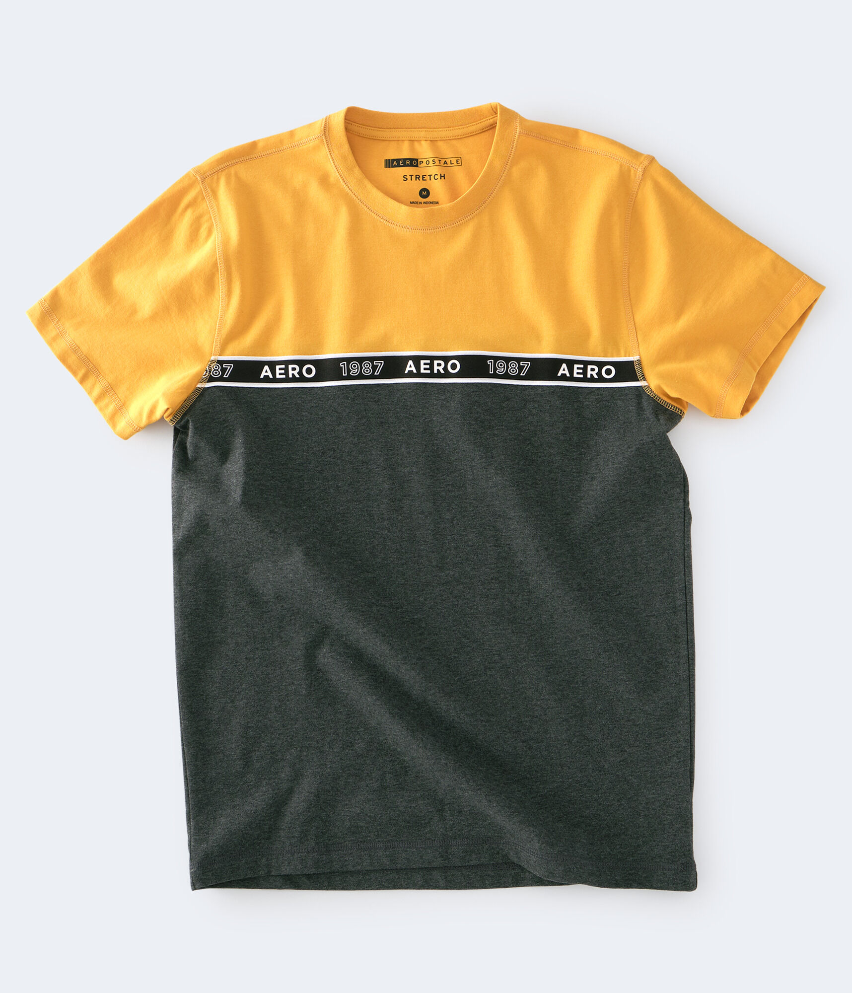 Aero 1987 Colorblocked Stretch Tee