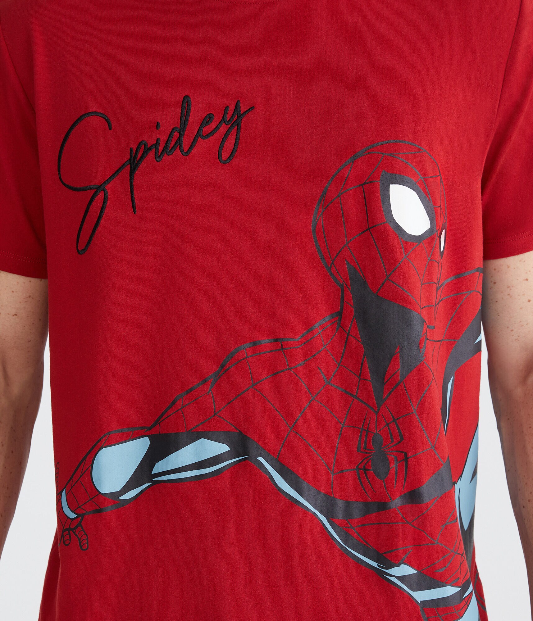 Marvel | Aero Spidey Relaxed Graphic Tee