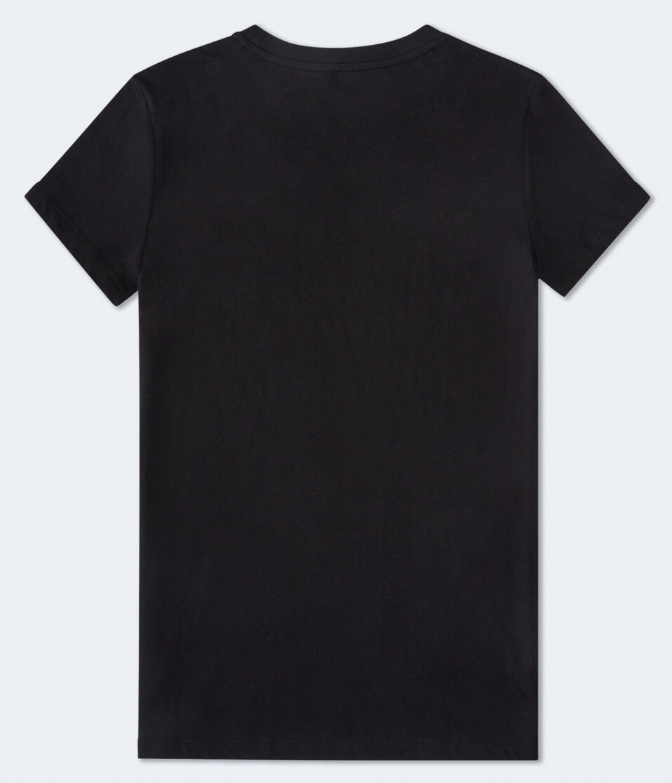 Aeropostale 1987 Roses Graphic Tee