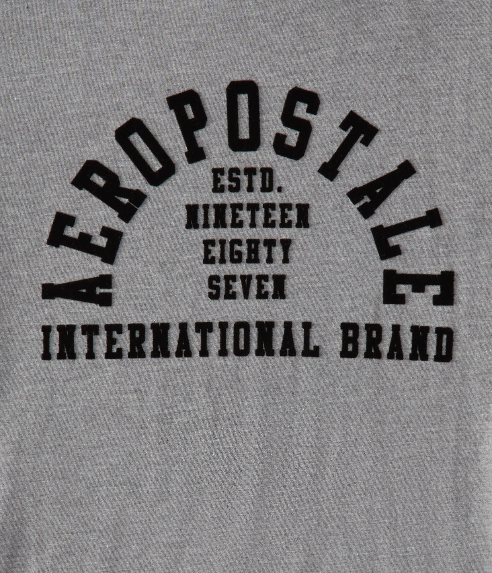 Aeropostale Arch Flocked Graphic Tee