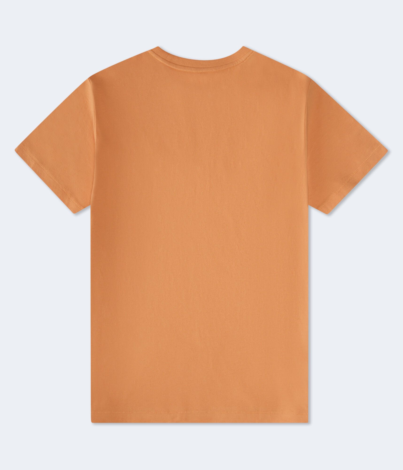 Aeropostale Lion Crest Graphic Tee