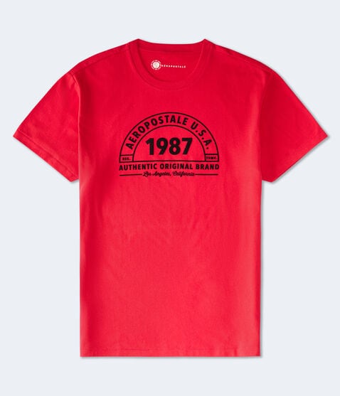 Aeropostale 1987 Arch Flocked Graphic Tee Aeropostale 1987 Arch Flocked Graphic Tee