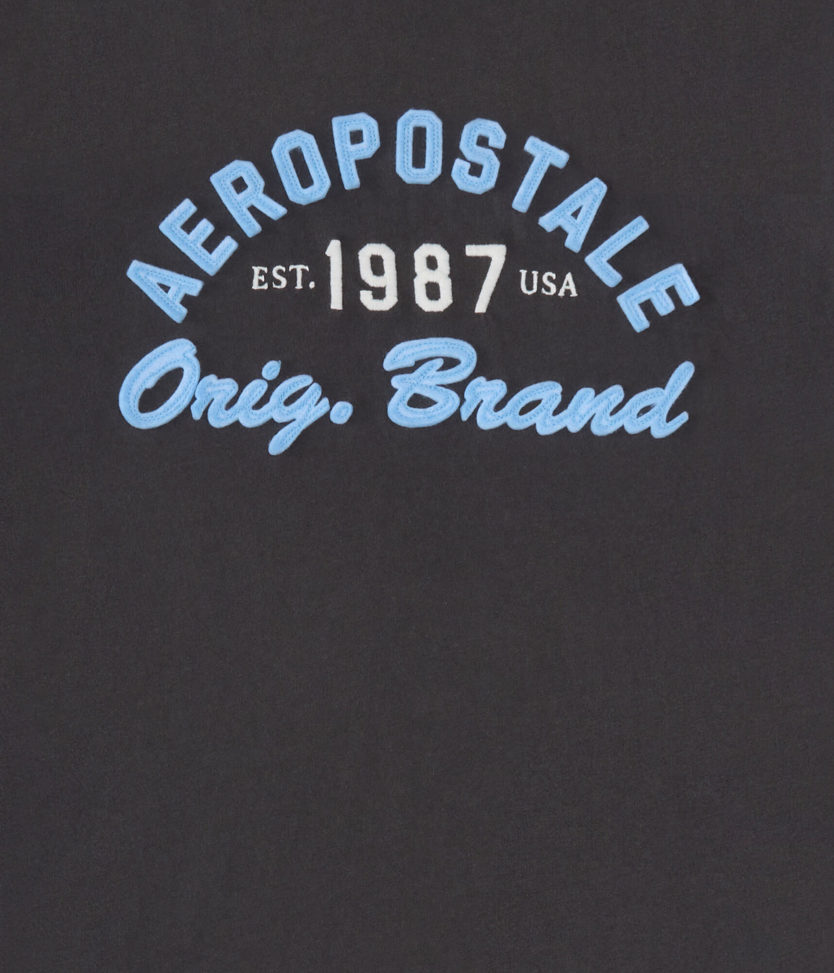Aeropostale 1987 Appliqu&eacute; Graphic Tee