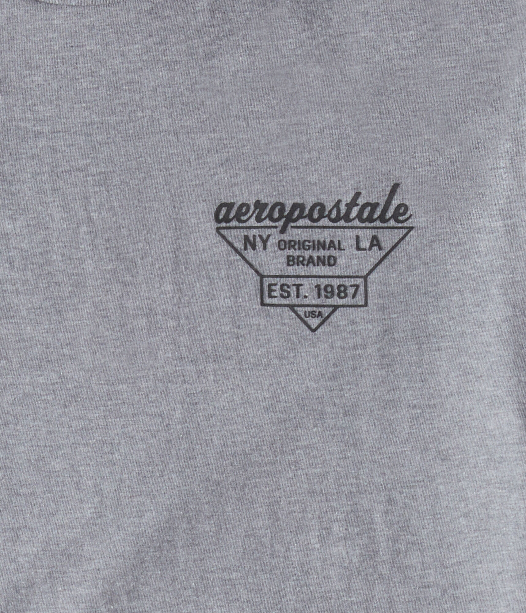 Aeropostale Triangle Logo Graphic Tee