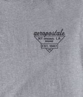Aeropostale Triangle Logo Graphic Tee