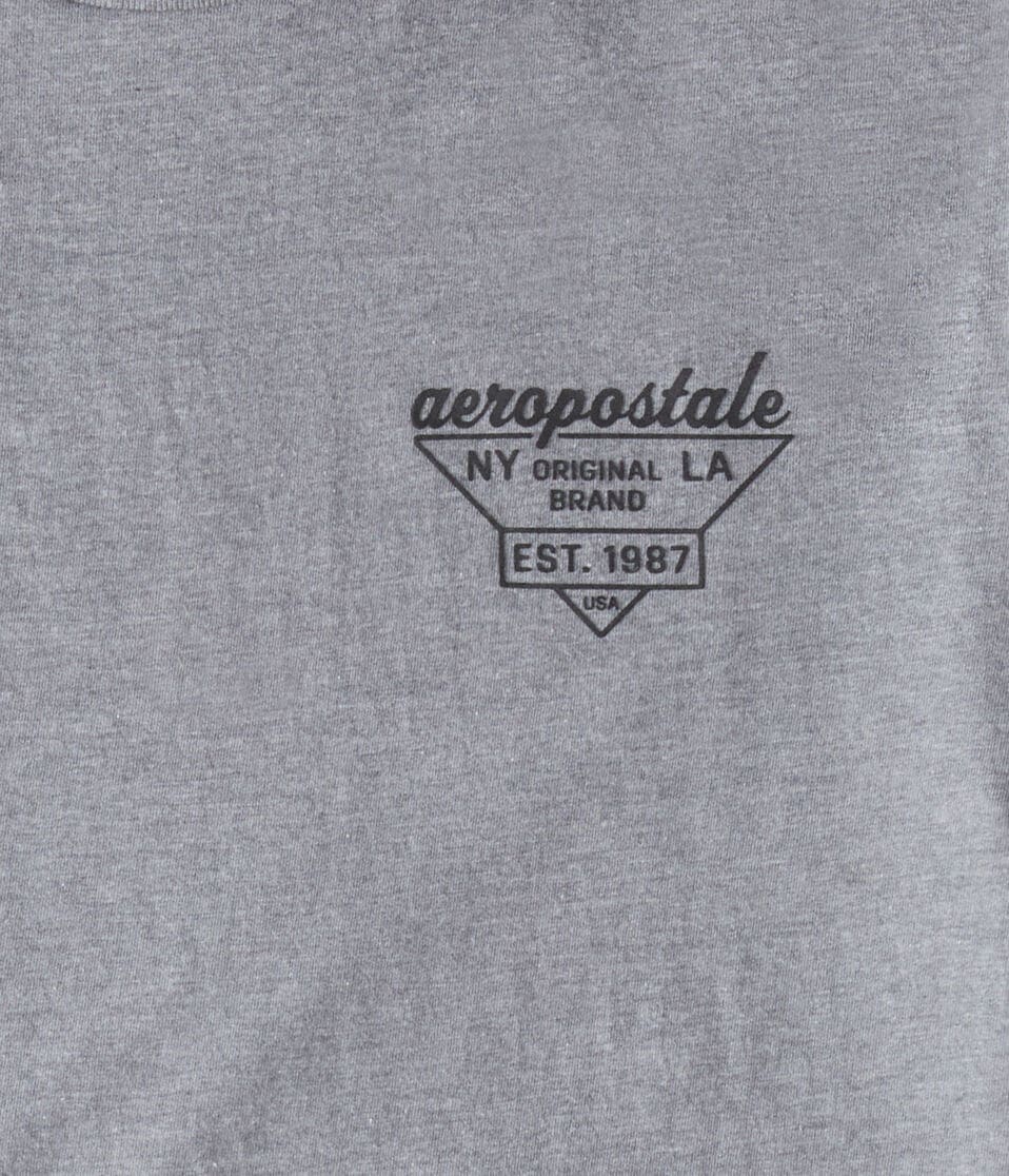 Aeropostale Triangle Logo Graphic Tee