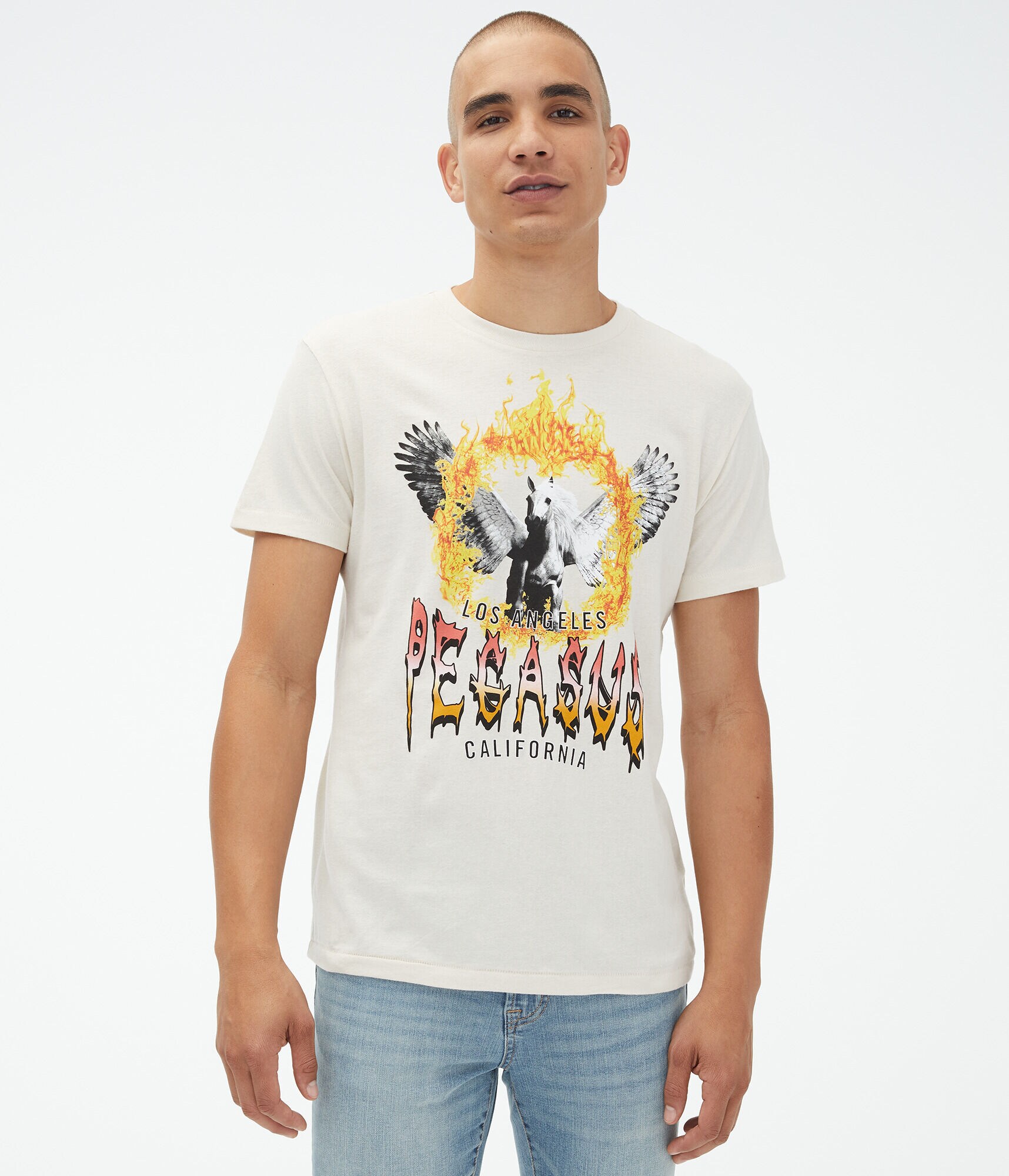 Pegasus Fire Graphic Tee