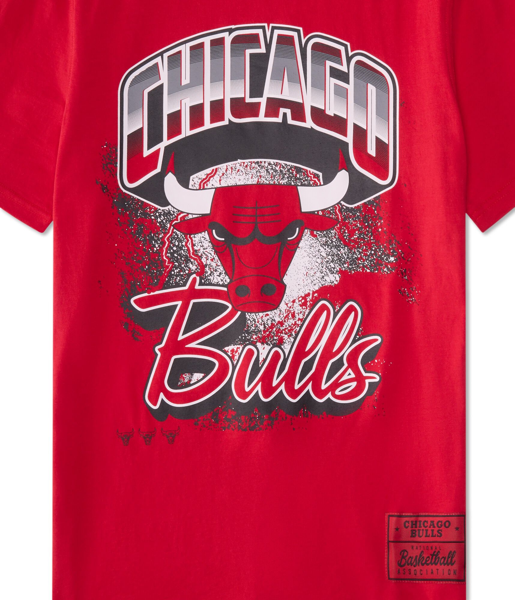 Chicago Bulls City Stripe Relaxed Graphic Tee