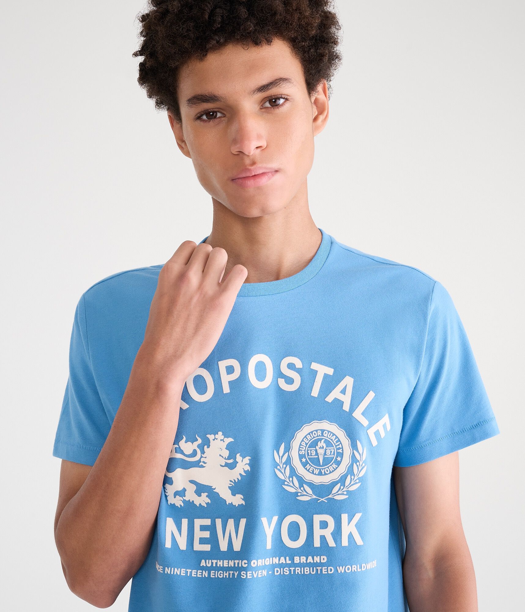 Aeropostale Lion Crest Flocked Graphic Tee