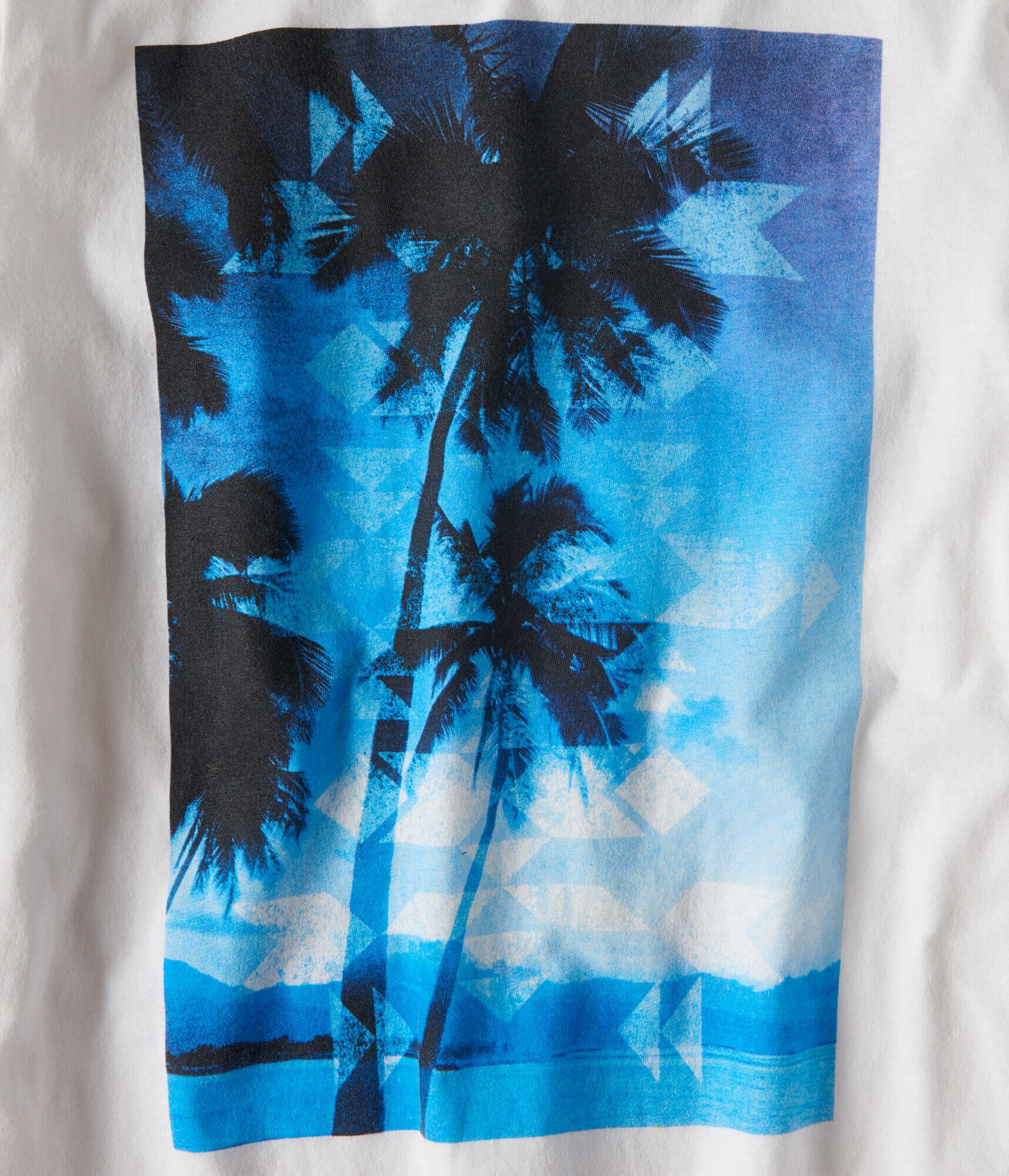 Long Sleeve Ocean Palms Graphic Tee